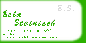 bela steinisch business card